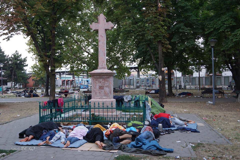 11796289_10207852295485169_960732571431041886_n