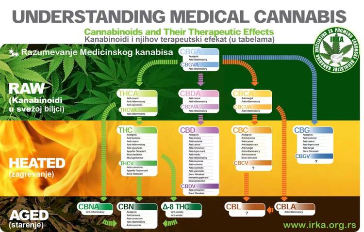 10848010_695417780573269_1598341407837928972_n